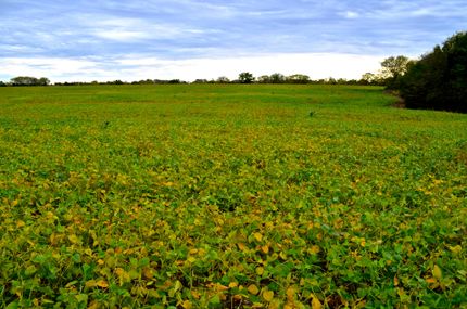 Property in Lyon County, Kansas