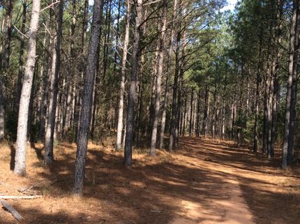 Property in Laurens County, South Carolina