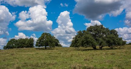 Property in Bandera County, Texas