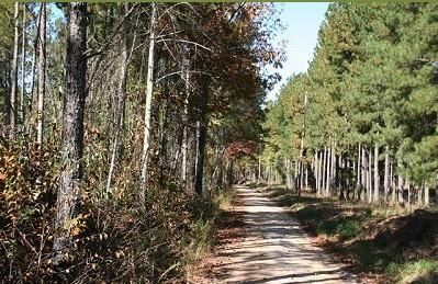 Property in Banks County, Georgia