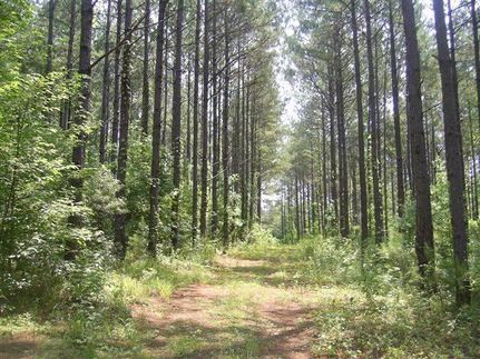Property in Pike County, Alabama