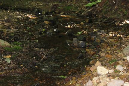 Property in Calhoun County, Alabama