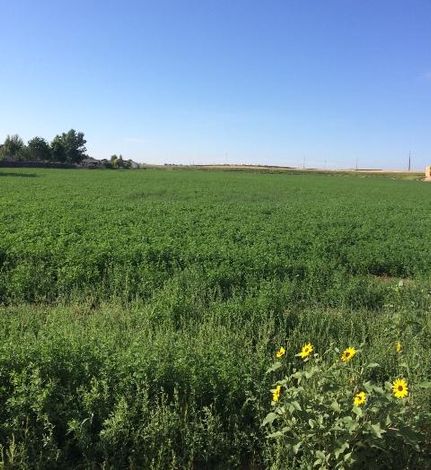 Property in Weld County, Colorado