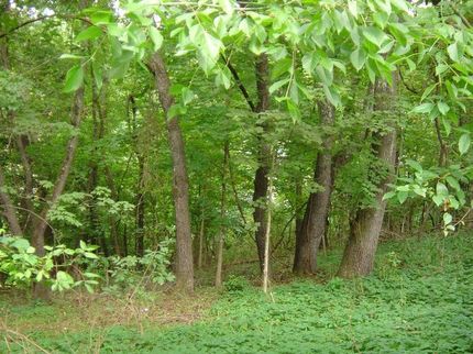 Property in Rockbridge County, Virginia