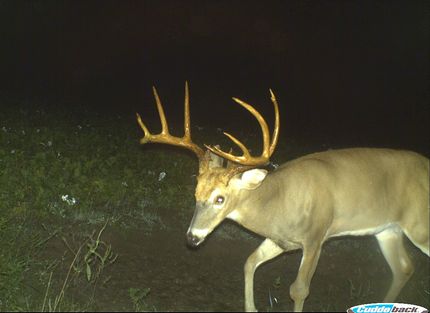 Property in Lucas County, Iowa