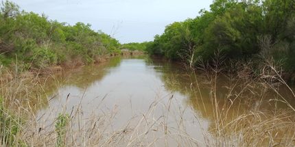 Property in Runnels County, Texas