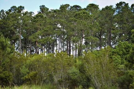 Property in Colleton County, South Carolina
