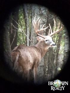 Property in Richland Parish, Louisiana