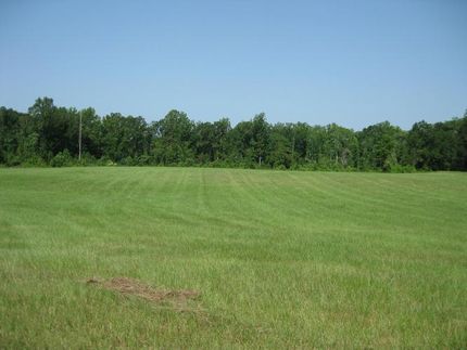 Property in Marengo County, Alabama