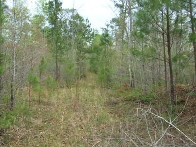 Property in Elmore County, Alabama