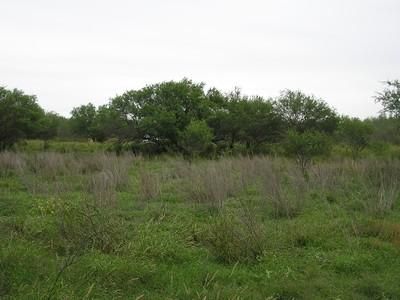 Property in Starr County, Texas
