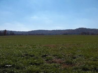 Property in Lewis County, Kentucky