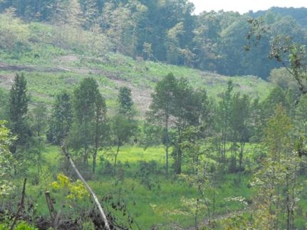 Property in Chester County, Tennessee