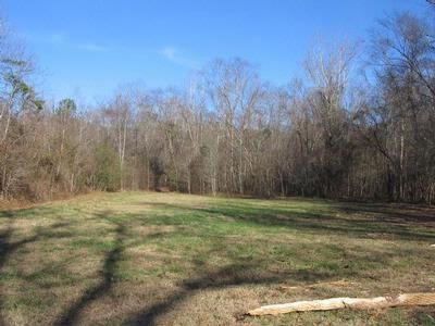 Property in Tallapoosa County, Alabama
