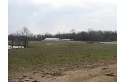 Property in Ripley County, Missouri