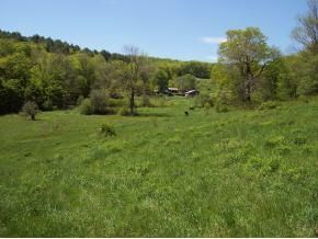 Property in Windham County, Vermont