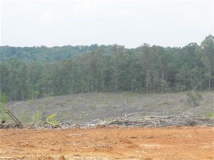 Property in Hardeman County, Tennessee