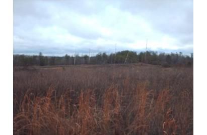 Property in Lamar County, Alabama