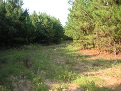 Property in Cleveland County, Arkansas