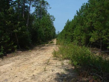 Property in Marlboro County, South Carolina