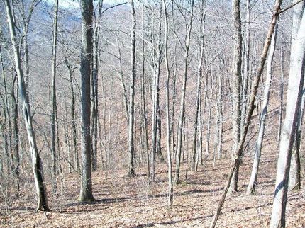 Property in Boone County, West Virginia
