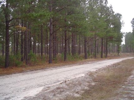 Property in Lee County, South Carolina