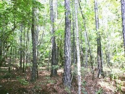 Property in Chambers County, Alabama