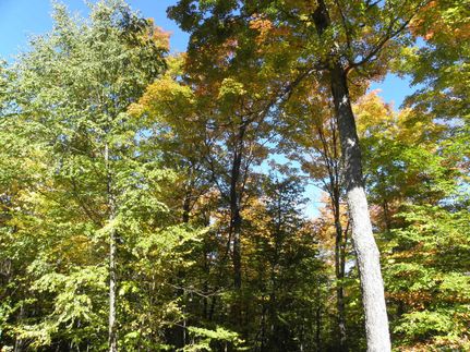 Property in Saratoga County, New York