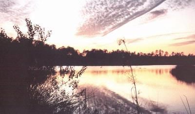 Property in Jackson County, Mississippi