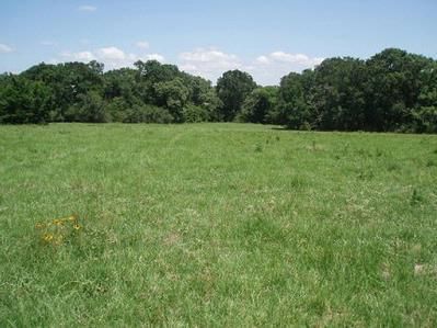 Property in Madison County, Texas
