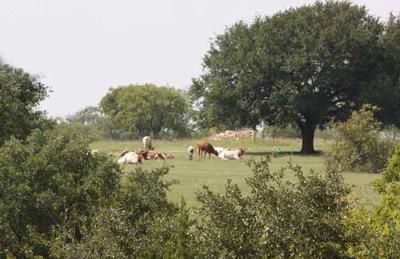 Property in Coryell County, Texas