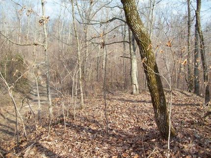 Property in Metcalfe County, Kentucky