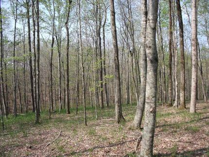 Property in Metcalfe County, Kentucky