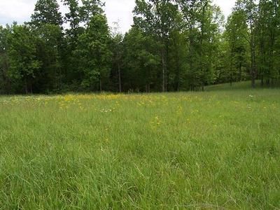 Property in Metcalfe County, Kentucky