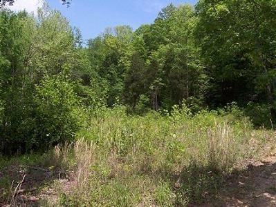 Property in Metcalfe County, Kentucky