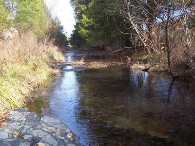 Property in Metcalfe County, Kentucky