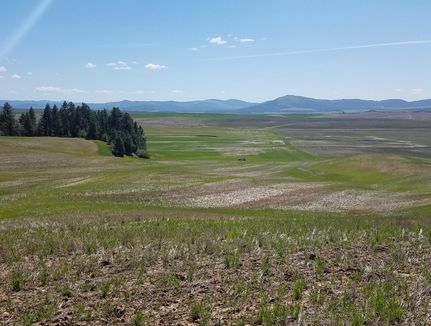 Property in Benewah County, Idaho