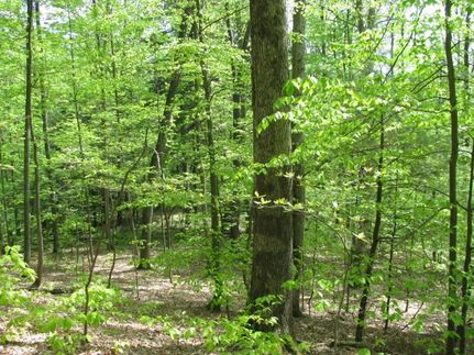 Property in Ritchie County, West Virginia