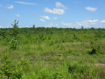 Property in King and Queen County, Virginia