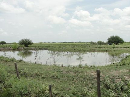 Property in Austin County, Texas