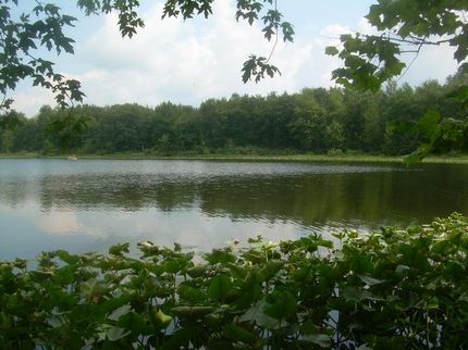 Property in Kosciusko County, Indiana