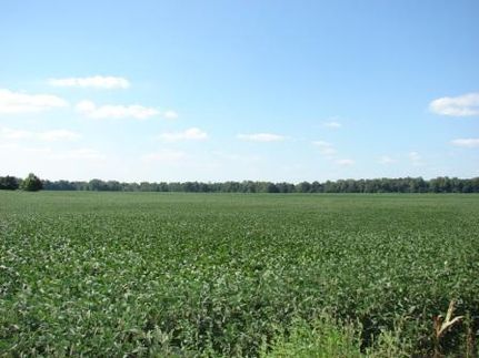 Property in Clinton County, Indiana