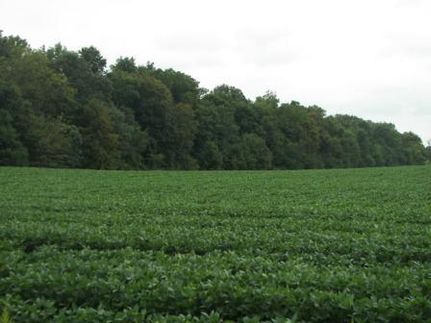 Property in Miami County, Indiana