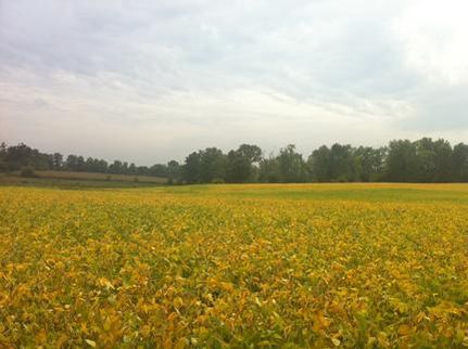 Property in Fayette County, Indiana