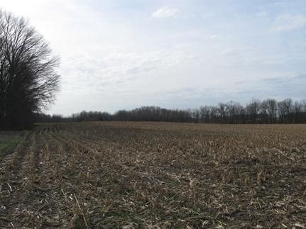 Property in Shelby County, Indiana