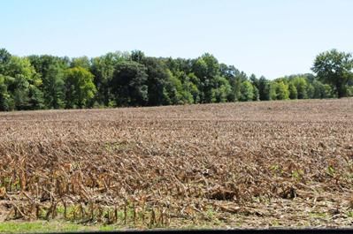 Property in Hendricks County, Indiana