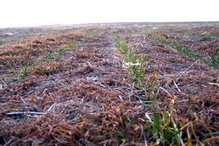 Property in Kit Carson County, Colorado