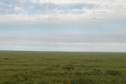 Property in Cheyenne County, Colorado