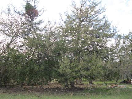 Property in Collin County, Texas