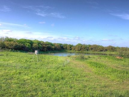 Property in Zavala County, Texas